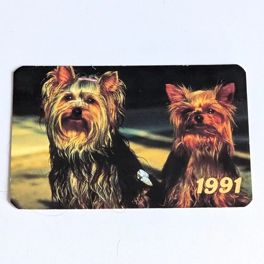 Vintage Russian Soviet USSR Pocket Calendar Yorkshire Terrier Dog 1991